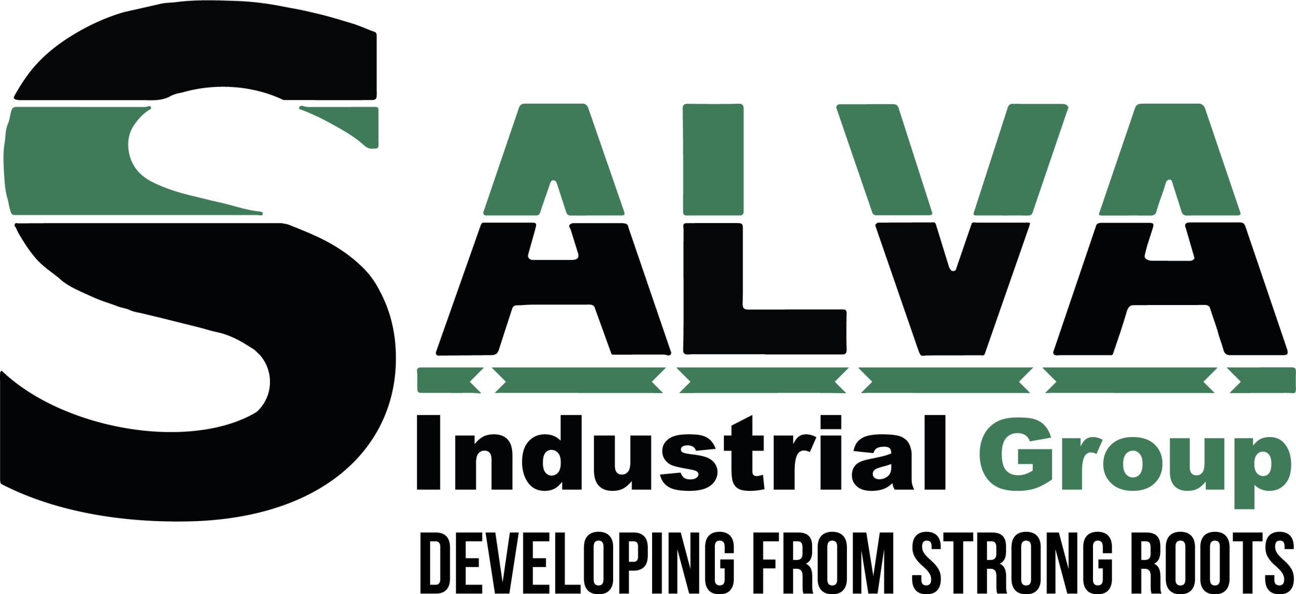 SalvaGroup